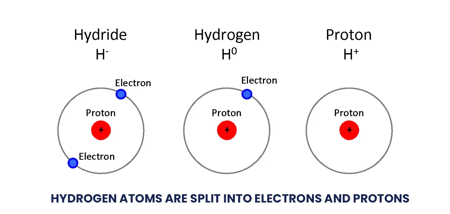 hydrogen atoms