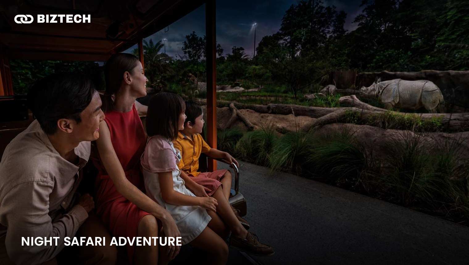 Night Safari Adventure