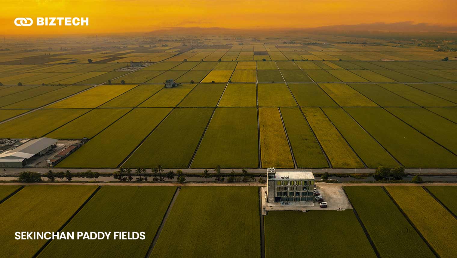 Sekinchan Paddy Fields