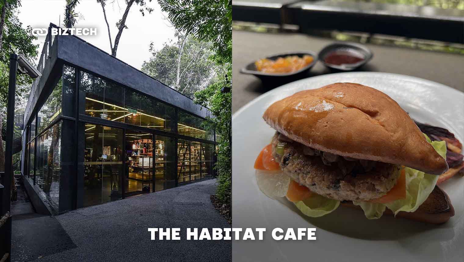The Habitat Cafe