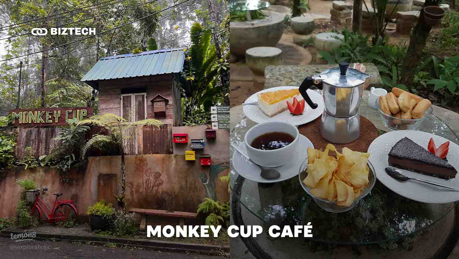 Monkey Cup Café