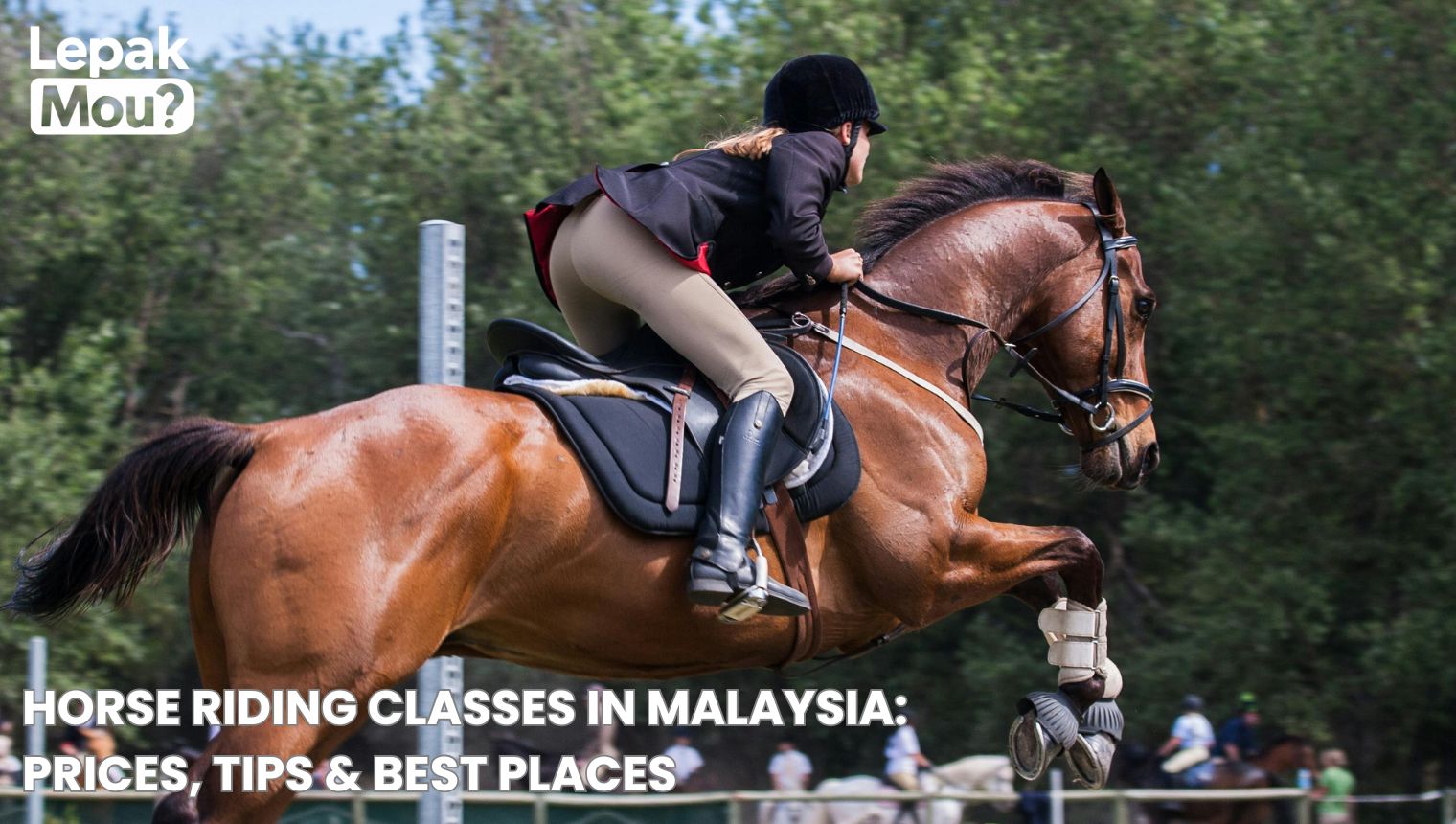 Horse Riding Classes in Malaysia: Prices, Tips & Best Places