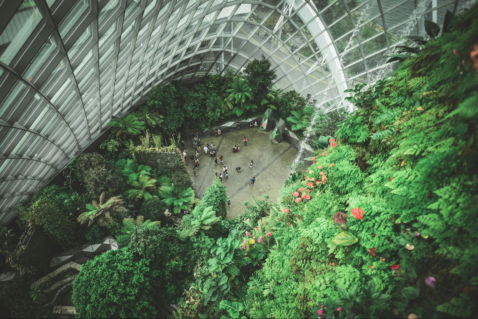 Gardens by the Bay
