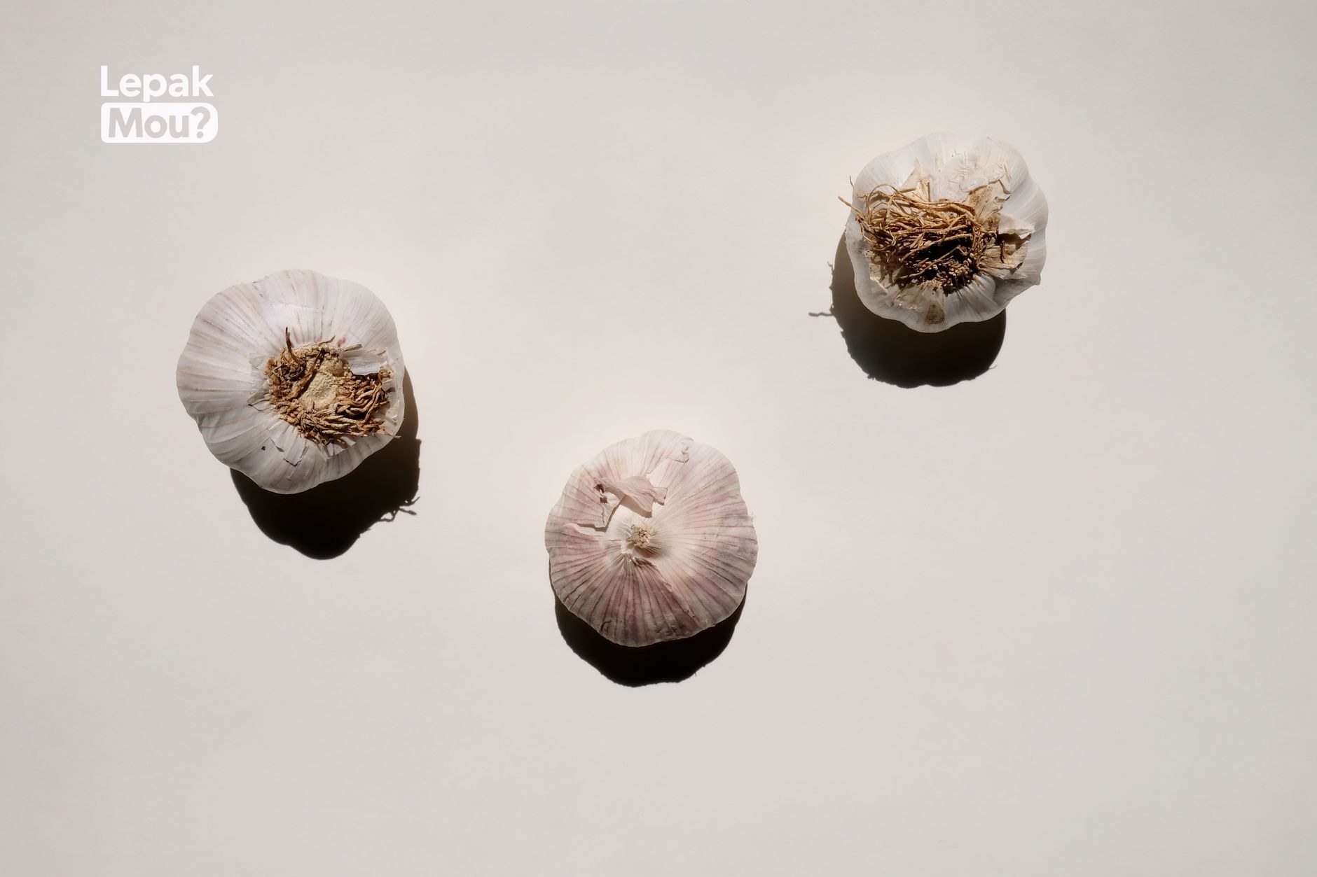 Garlic