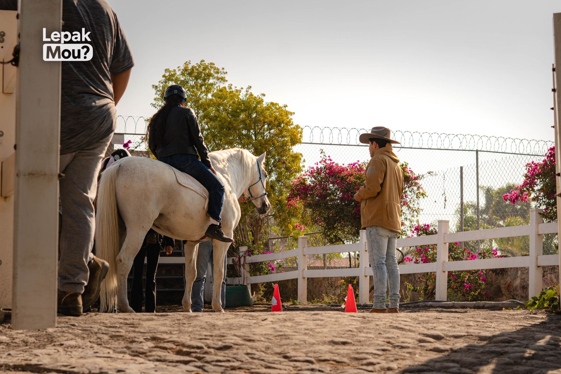Equestrian helmet and riding gear for a beginner rider