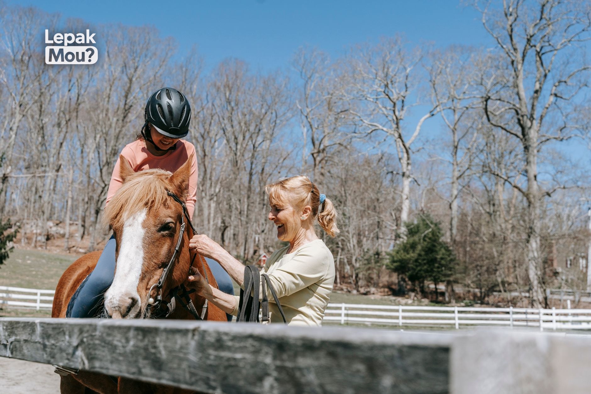 A rider during a horse riding lesson